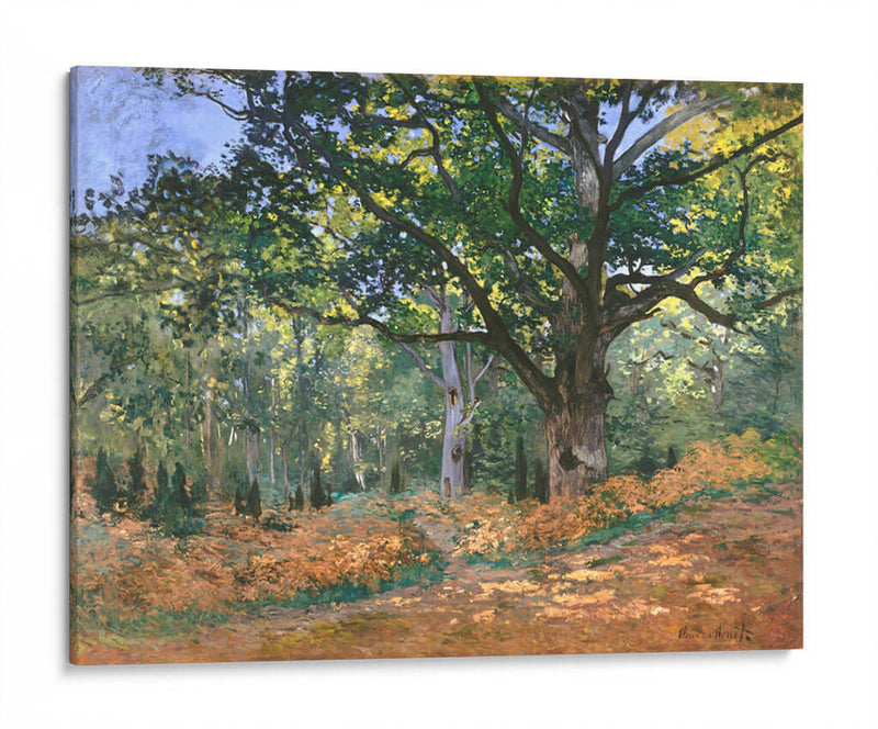 El roble de Bodmer, bosque de Fontainebleau - Claude Monet | Cuadro decorativo de Canvas Lab