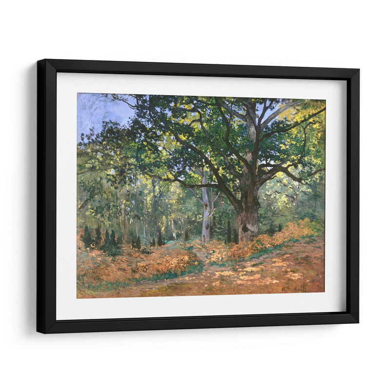 El roble de Bodmer, bosque de Fontainebleau - Claude Monet | Cuadro decorativo de Canvas Lab