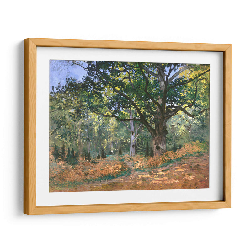 El roble de Bodmer, bosque de Fontainebleau - Claude Monet | Cuadro decorativo de Canvas Lab