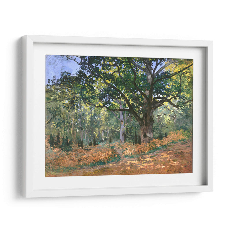 El roble de Bodmer, bosque de Fontainebleau - Claude Monet | Cuadro decorativo de Canvas Lab