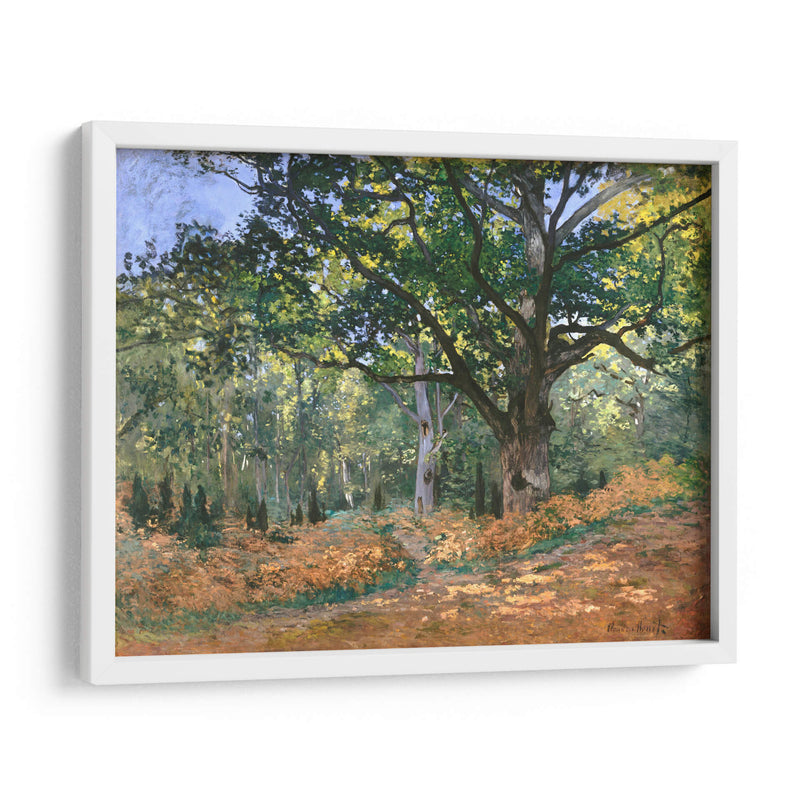 El roble de Bodmer, bosque de Fontainebleau - Claude Monet | Cuadro decorativo de Canvas Lab