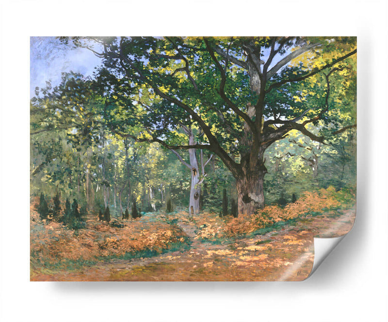 El roble de Bodmer, bosque de Fontainebleau - Claude Monet | Cuadro decorativo de Canvas Lab