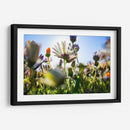 Campo iluminado | Cuadro decorativo de Canvas Lab