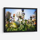 Campo iluminado | Cuadro decorativo de Canvas Lab