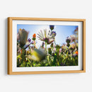 Campo iluminado | Cuadro decorativo de Canvas Lab