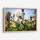 Campo iluminado | Cuadro decorativo de Canvas Lab