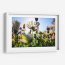 Campo iluminado | Cuadro decorativo de Canvas Lab