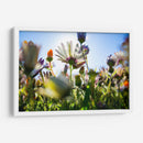 Campo iluminado | Cuadro decorativo de Canvas Lab