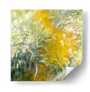 El camino a través de los lirios - Claude O. Monet | Cuadro decorativo de Canvas Lab