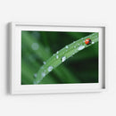 Catarinita | Cuadro decorativo de Canvas Lab