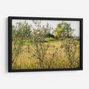 Mariposas - Anaid Frías | Cuadro decorativo de Canvas Lab