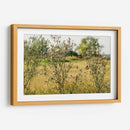 Mariposas - Anaid Frías | Cuadro decorativo de Canvas Lab