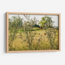 Mariposas - Anaid Frías | Cuadro decorativo de Canvas Lab