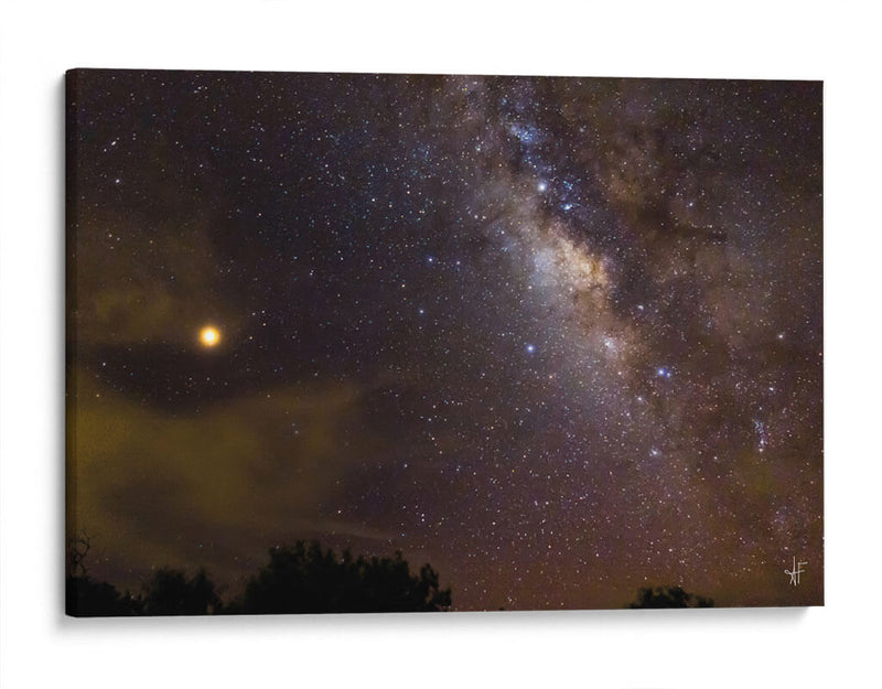 Noche Mágica - Anaid Frías | Cuadro decorativo de Canvas Lab