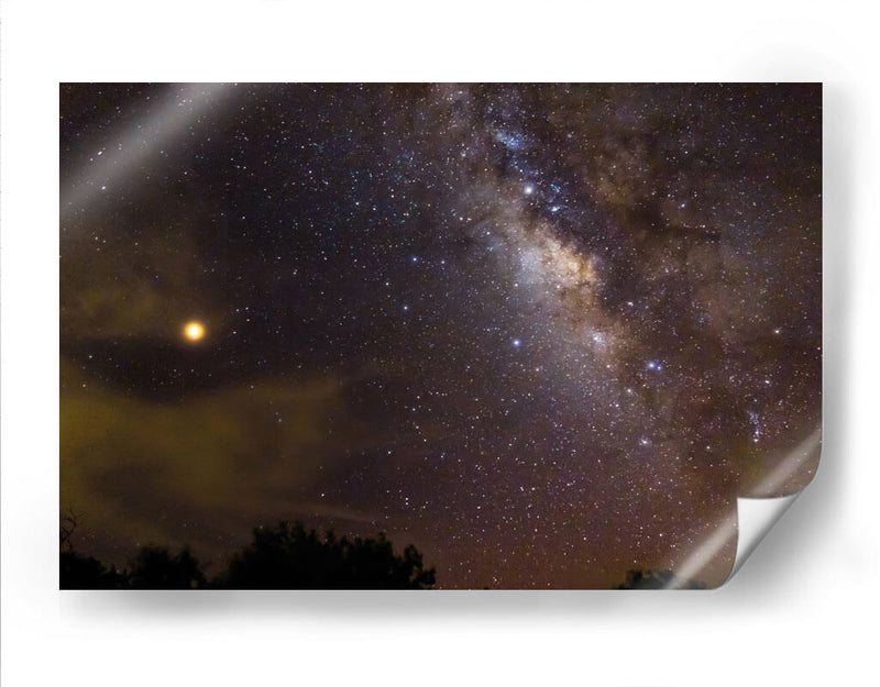 Noche Mágica - Anaid Frías | Cuadro decorativo de Canvas Lab