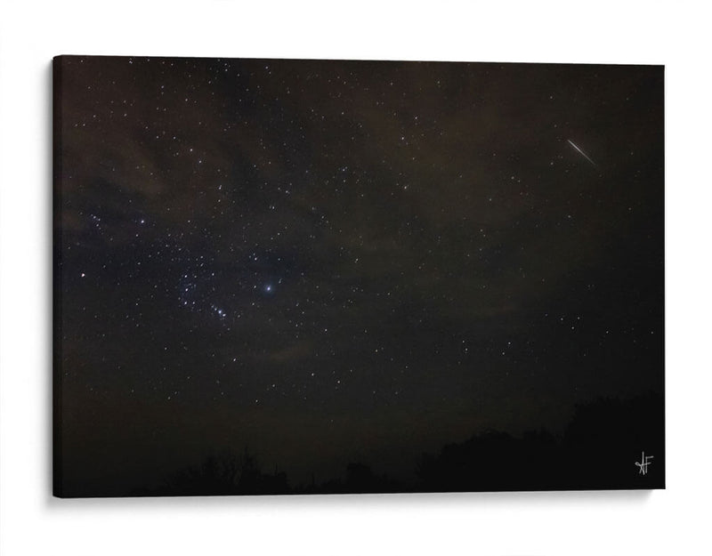 Oreón Fugaz - Anaid Frías | Cuadro decorativo de Canvas Lab