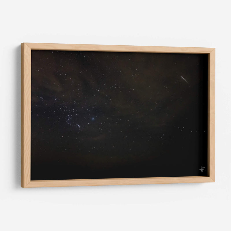 Oreón Fugaz - Anaid Frías | Cuadro decorativo de Canvas Lab