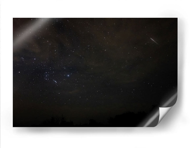 Oreón Fugaz - Anaid Frías | Cuadro decorativo de Canvas Lab