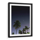 Palmeras Cubanas - Anaid Frías | Cuadro decorativo de Canvas Lab