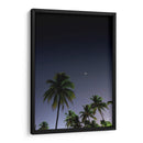 Palmeras Cubanas - Anaid Frías | Cuadro decorativo de Canvas Lab