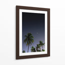 Palmeras Cubanas - Anaid Frías | Cuadro decorativo de Canvas Lab