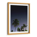 Palmeras Cubanas - Anaid Frías | Cuadro decorativo de Canvas Lab