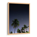 Palmeras Cubanas - Anaid Frías | Cuadro decorativo de Canvas Lab