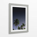 Palmeras Cubanas - Anaid Frías | Cuadro decorativo de Canvas Lab