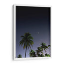 Palmeras Cubanas - Anaid Frías | Cuadro decorativo de Canvas Lab