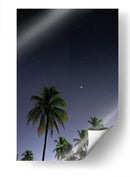 Palmeras Cubanas - Anaid Frías | Cuadro decorativo de Canvas Lab