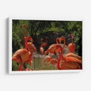 Tú o Yo - Anaid Frías | Cuadro decorativo de Canvas Lab