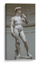 David - Miguel Ángel | Cuadro decorativo de Canvas Lab