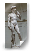 David - Miguel Ángel | Cuadro decorativo de Canvas Lab