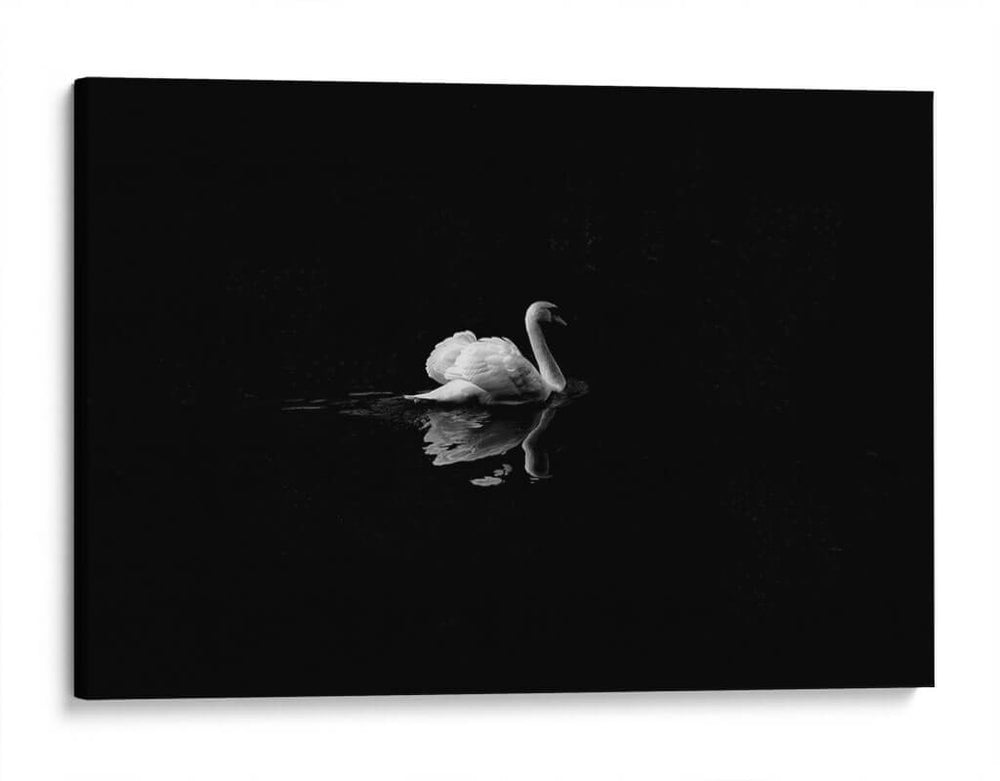 Cisne en la nostalgia | Cuadro decorativo de Canvas Lab
