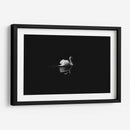 Cisne en la nostalgia | Cuadro decorativo de Canvas Lab