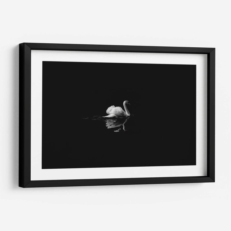 Cisne en la nostalgia | Cuadro decorativo de Canvas Lab
