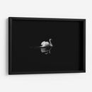 Cisne en la nostalgia | Cuadro decorativo de Canvas Lab