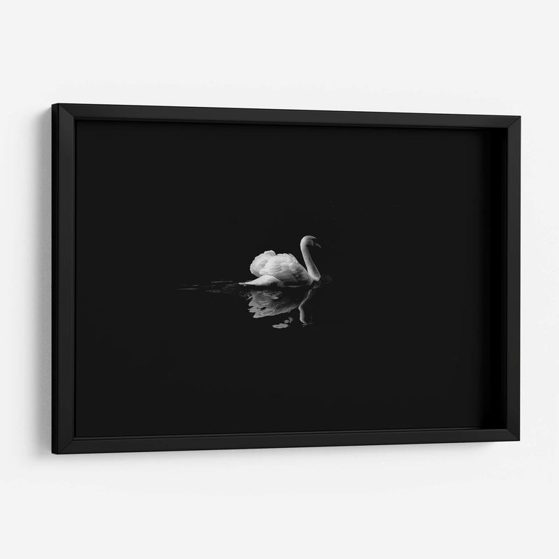 Cisne en la nostalgia | Cuadro decorativo de Canvas Lab