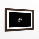 Cisne en la nostalgia | Cuadro decorativo de Canvas Lab