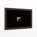 Cisne en la nostalgia | Cuadro decorativo de Canvas Lab