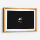 Cisne en la nostalgia | Cuadro decorativo de Canvas Lab