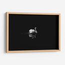 Cisne en la nostalgia | Cuadro decorativo de Canvas Lab
