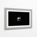 Cisne en la nostalgia | Cuadro decorativo de Canvas Lab