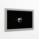 Cisne en la nostalgia | Cuadro decorativo de Canvas Lab