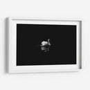 Cisne en la nostalgia | Cuadro decorativo de Canvas Lab