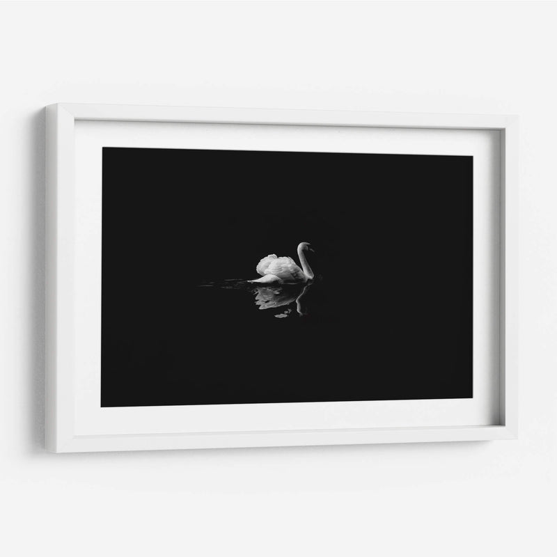 Cisne en la nostalgia | Cuadro decorativo de Canvas Lab