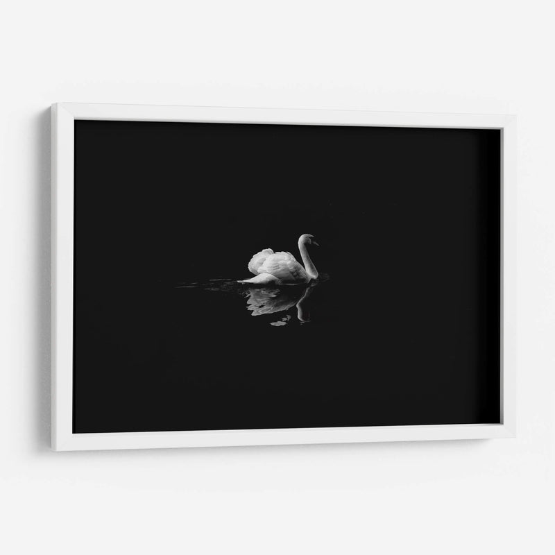 Cisne en la nostalgia | Cuadro decorativo de Canvas Lab
