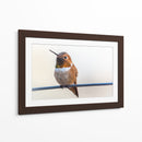 Colibrí bebé | Cuadro decorativo de Canvas Lab