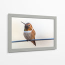 Colibrí bebé | Cuadro decorativo de Canvas Lab