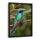 Colibrí en calma | Cuadro decorativo de Canvas Lab